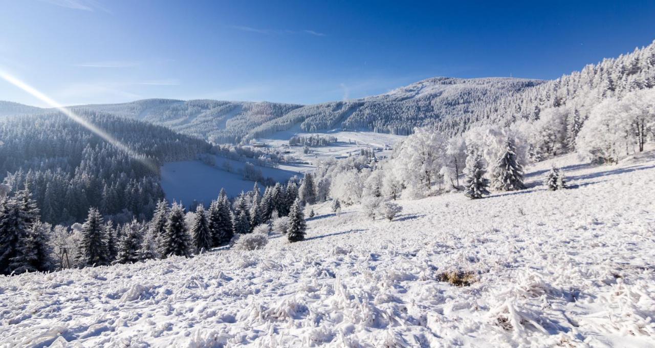 Kosowka Czarna Gora Bed & Breakfast Stronie Slaskie Exterior photo